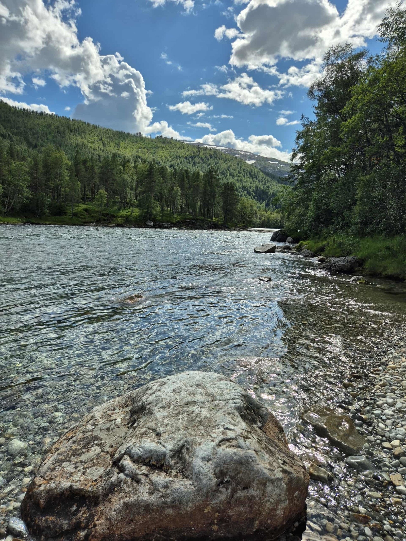 - Bilde tatt av selger - Galleribilde