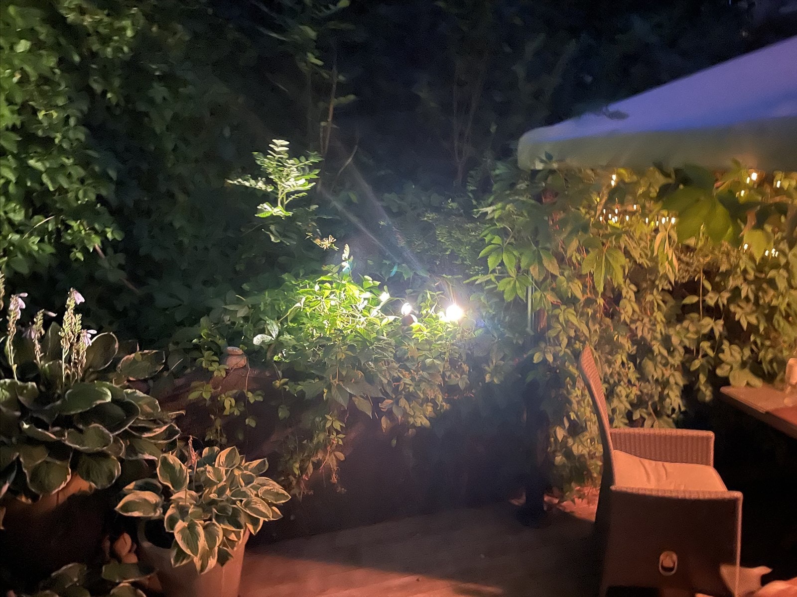 Selgers sommerbilde Galleribilde