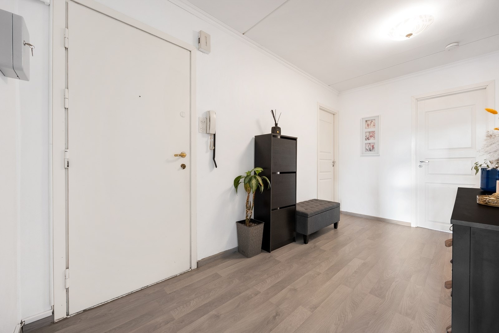 Brann- og lydklassifisert entrédør. Bygget har dørcalling for økt trygghet. Galleribilde