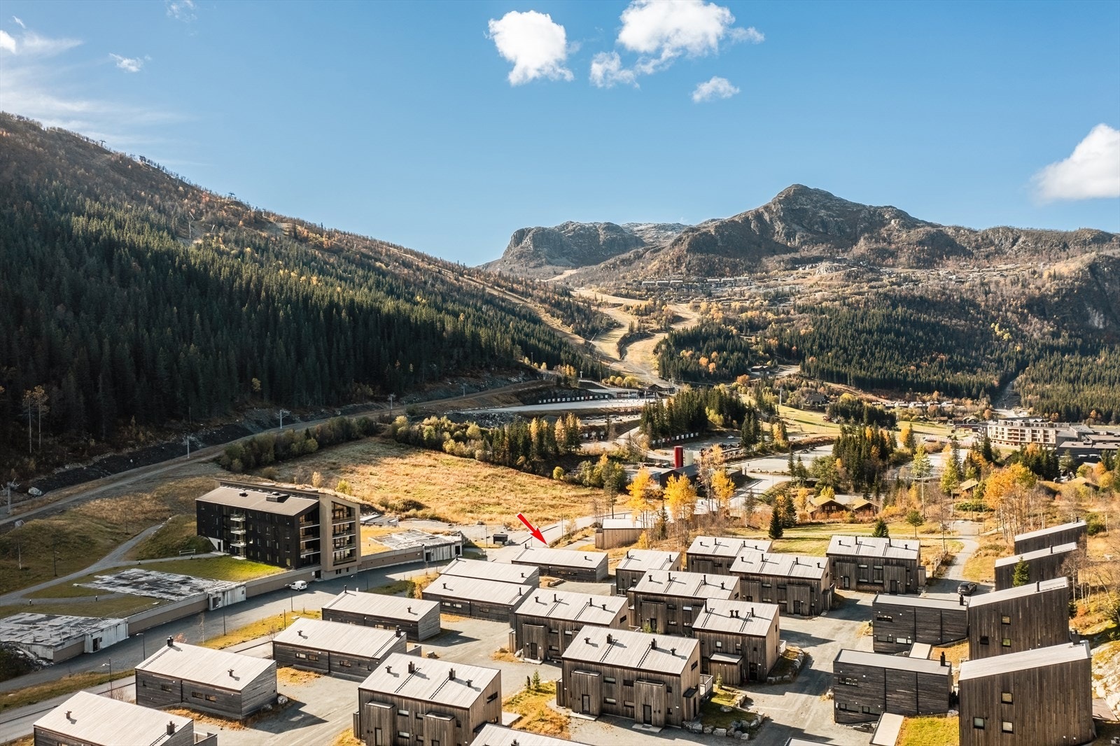 Nærområdet er tilrettelagt for å gjøre ditt opphold på fjellet så sømløst som mulig - her har du ski inn/ut til både langrenn og alpint og gangavstand til Hemsedal sentrum og Fjellandsbyen. Galleribilde