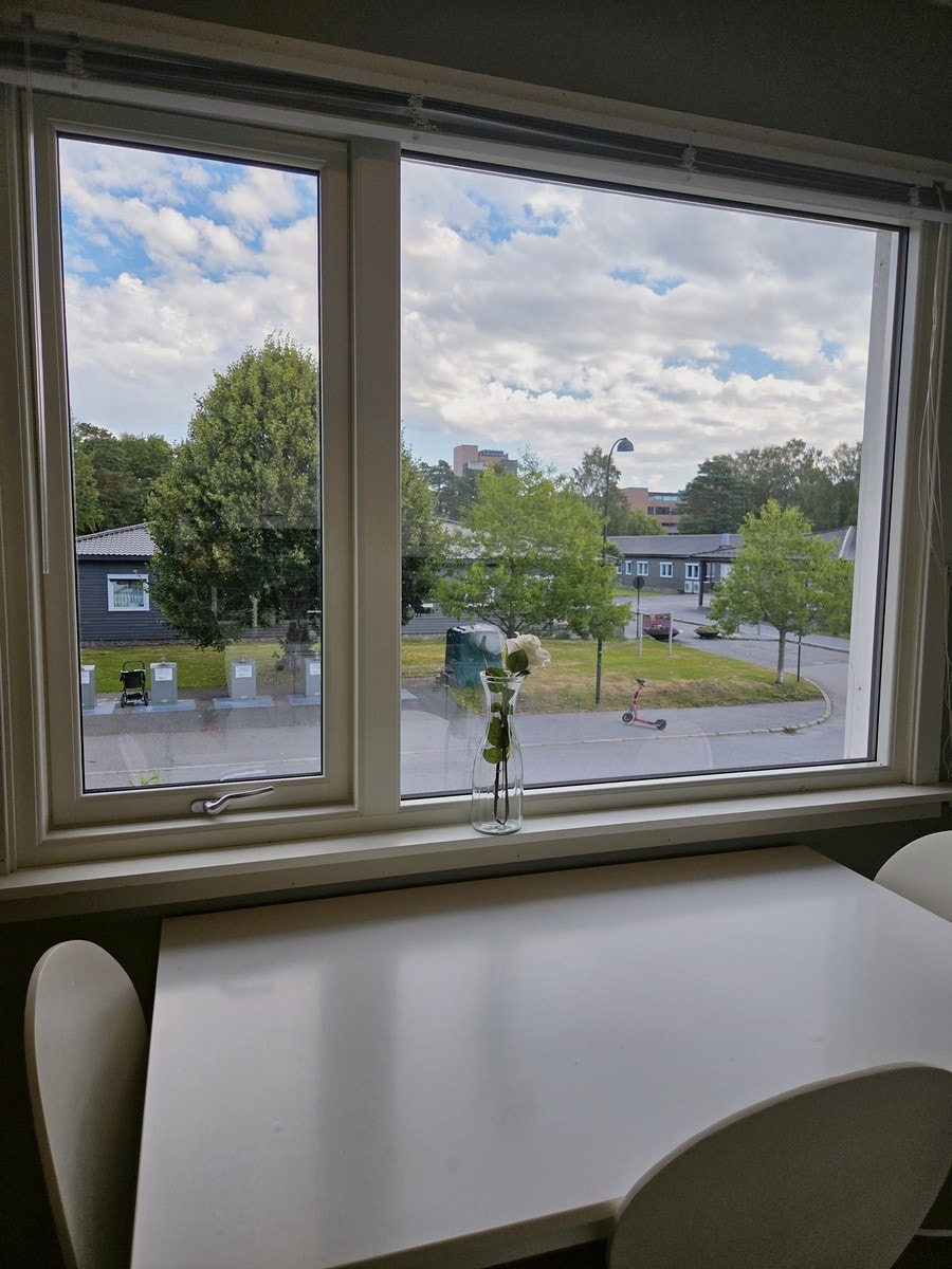 UiA rett over veien Galleribilde