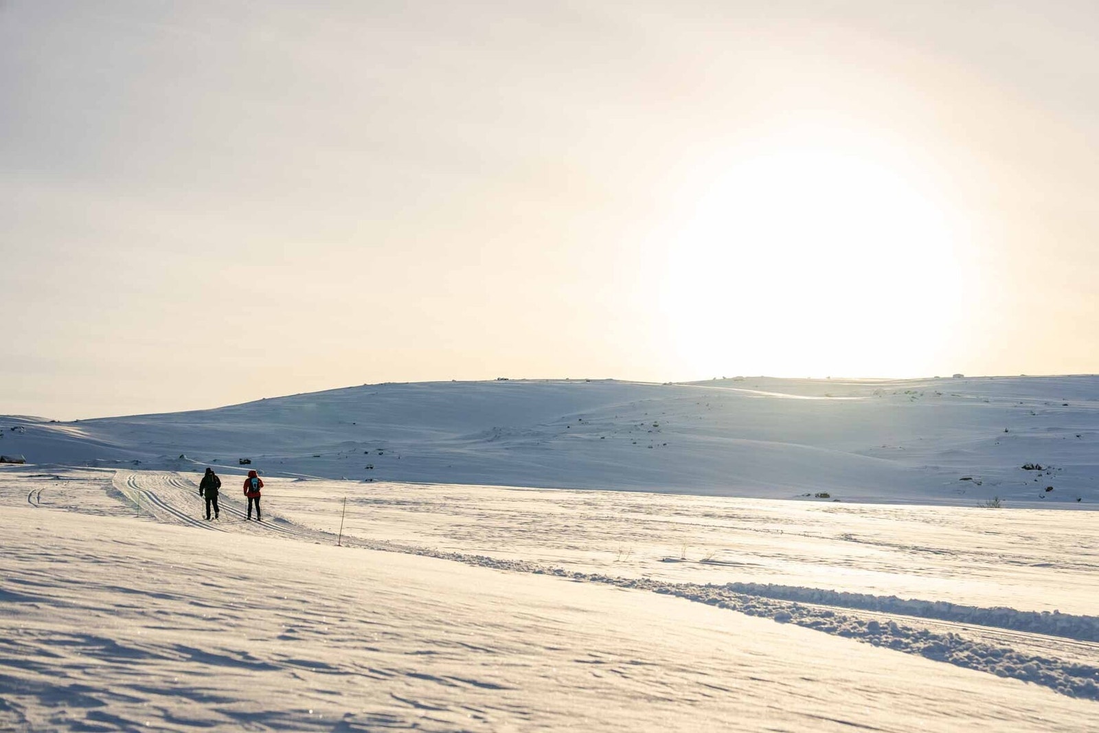 Løypenettet går både i høyfjellet og nede i skogbeltet Galleribilde