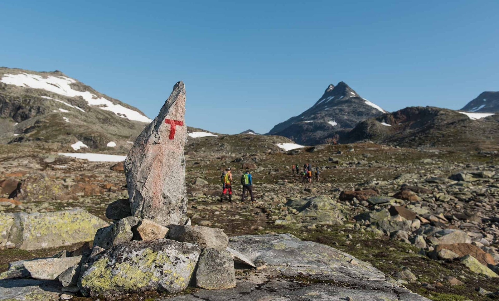 T-merkede stier i alle himmelretninger Galleribilde