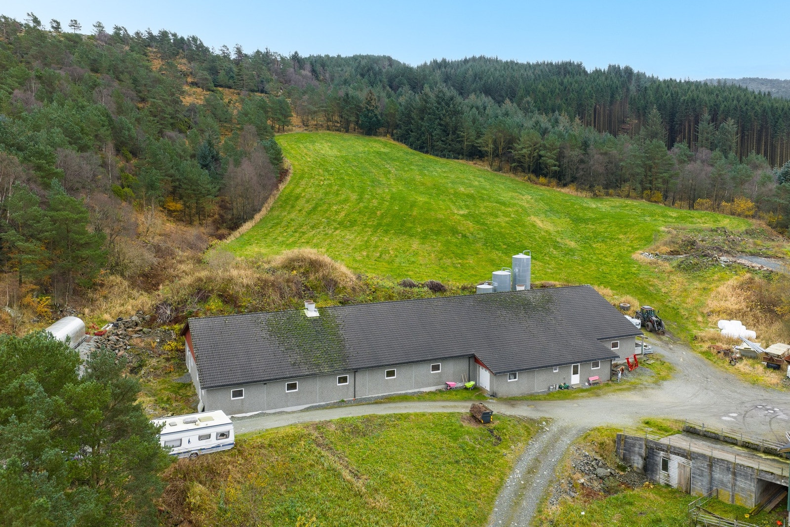 Grisehus med purkegrisavdeling og slaktegris er fra 2011 Galleribilde