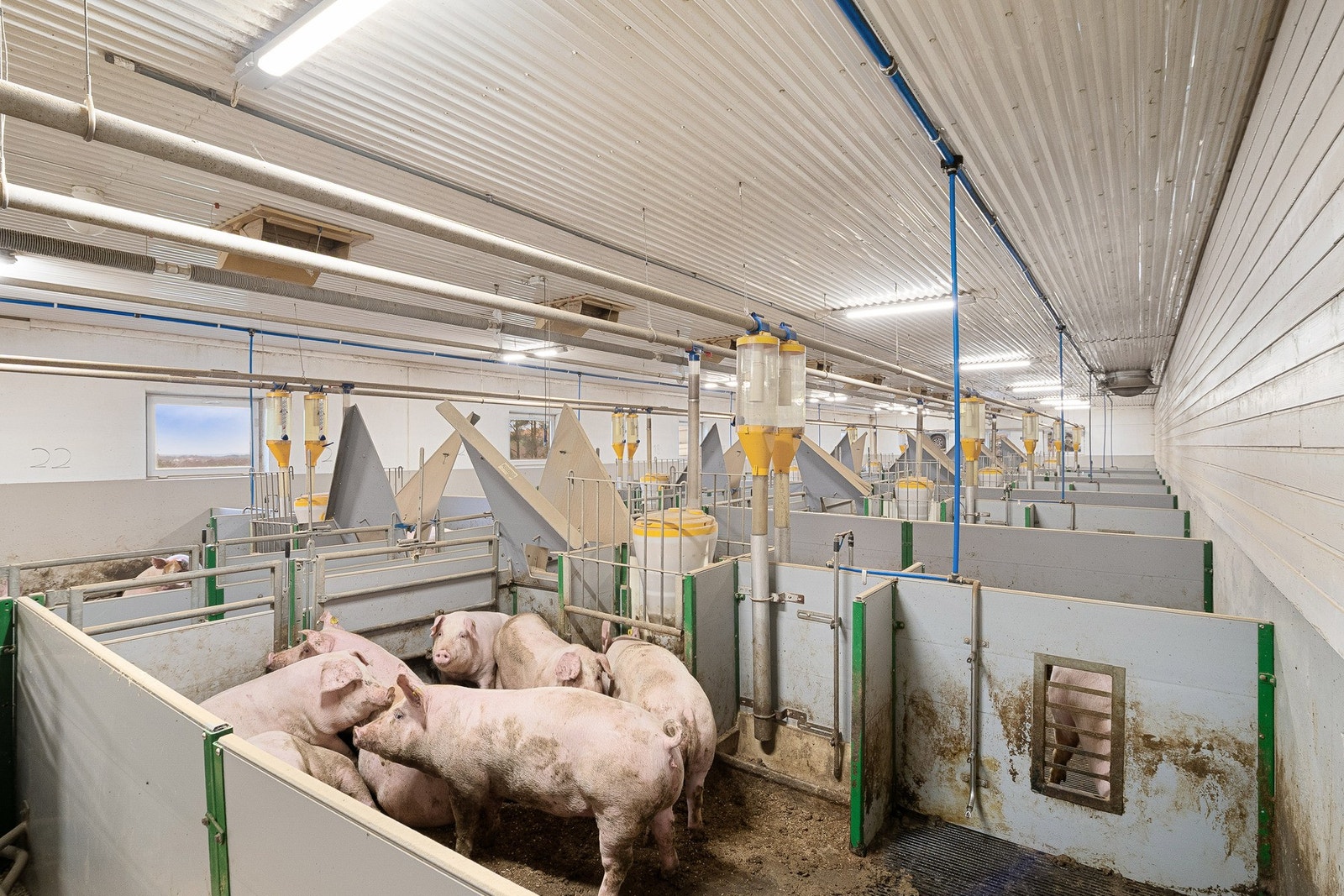 Grisehuset er ca 870 kvm brutto grunnflate Galleribilde