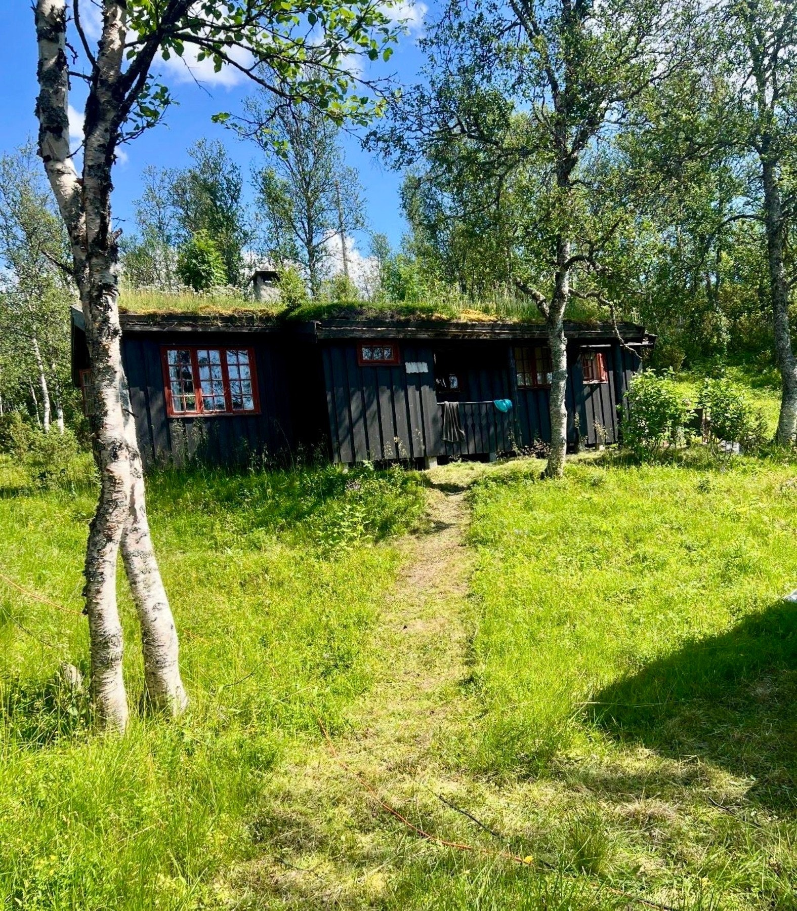 Selger private sommerbilde. Galleribilde