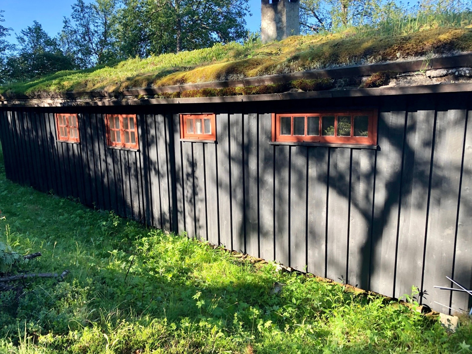 Selger private sommerbilde. Galleribilde