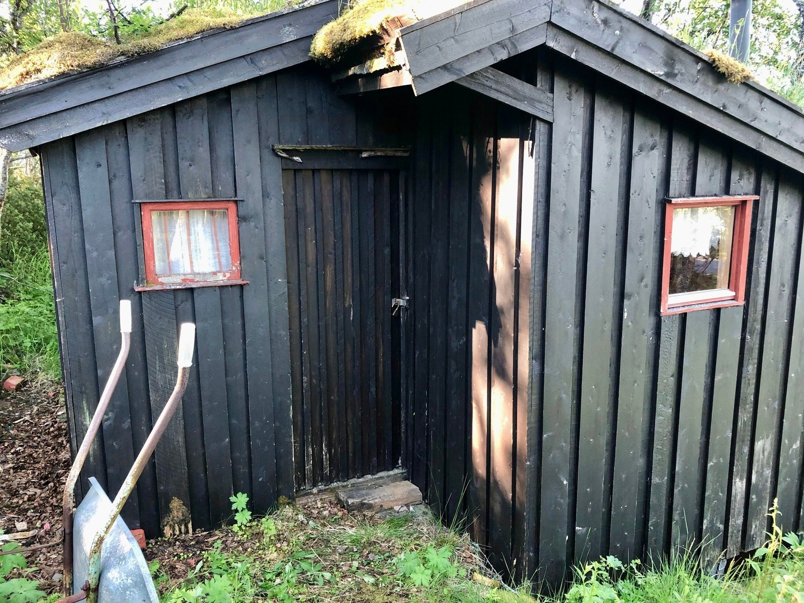 Selger private sommerbilde. Galleribilde