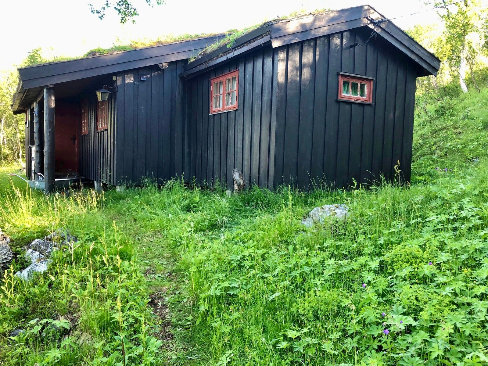 Selger private sommerbilde. Galleribilde