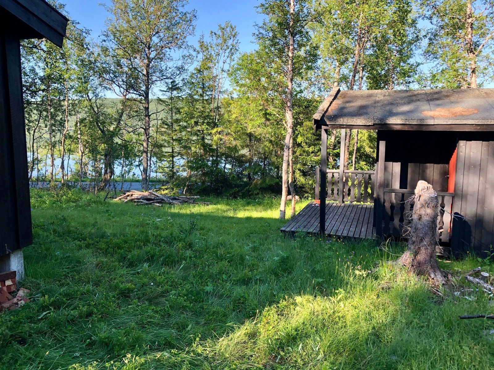 Selger private sommerbilde. Galleribilde