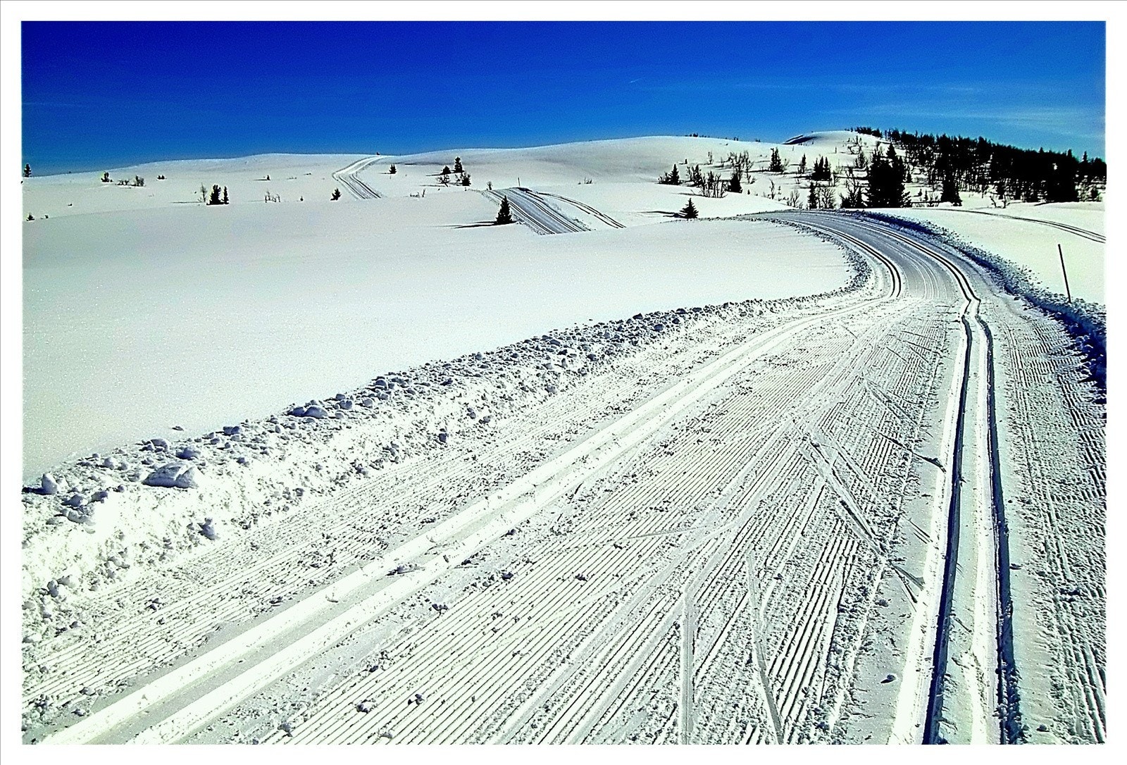 Bilde fra langrennsløypene som ligger like uten for døra Galleribilde