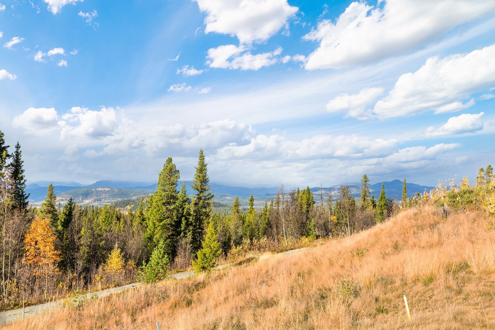 Fra terrassen kan man nyte den vide fjellutsikten! Galleribilde