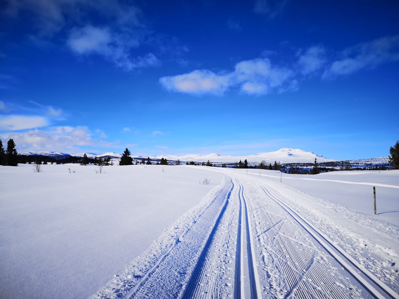 På vinterstid finner en oppkjørte skiløyper like ved eiendommen som er tilknyttet et fantastisk løypenett med løyper som passer for både store og små. Galleribilde