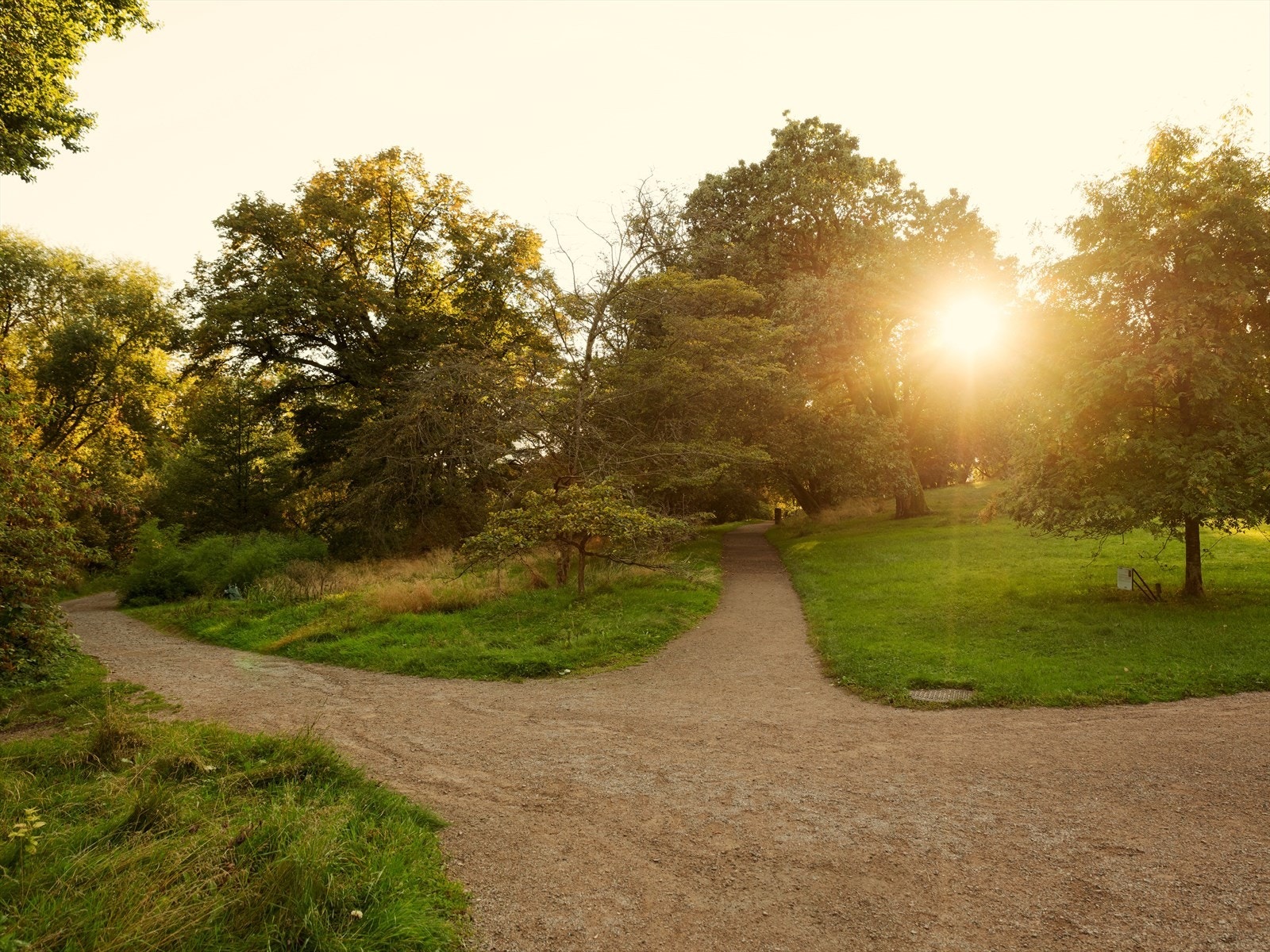 Du finnner både Tøyenparken og Botanisk hage rett i nærheten, ypperlig for både hygge og trening. Galleribilde