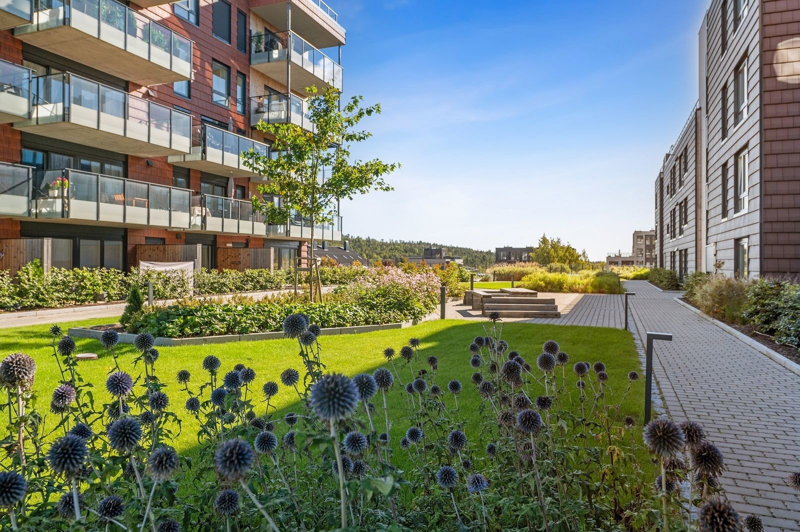 Konnerud Senter Panorama Galleribilde