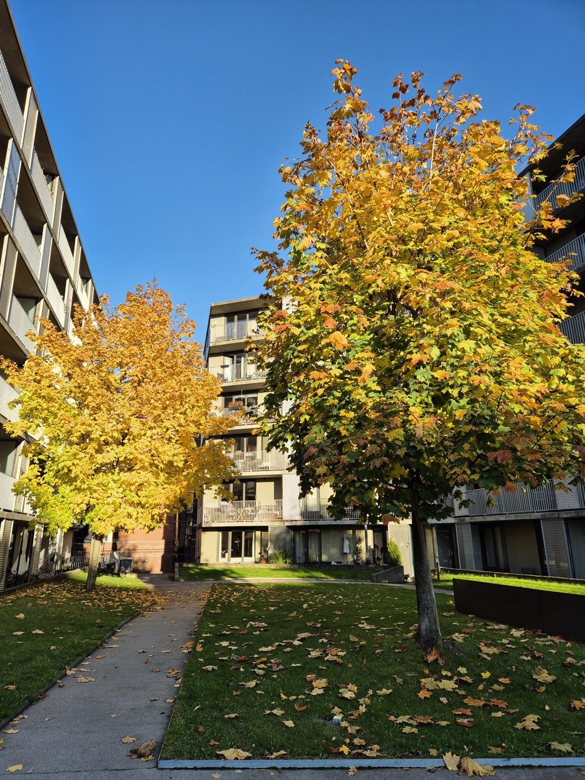Selgers private bilde. På sommer - og høsttid er det nydelig frodig gårdsrom med pen beplantning. Galleribilde