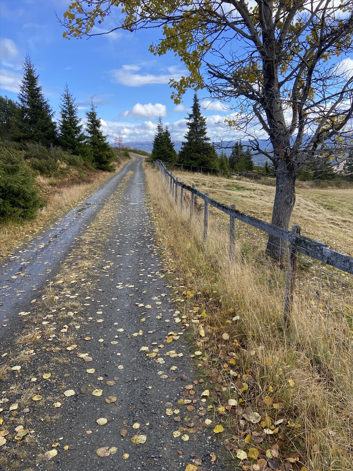Åpent terreng med mange tur muligheter i nærområdet. Selgers eget bilde. Galleribilde