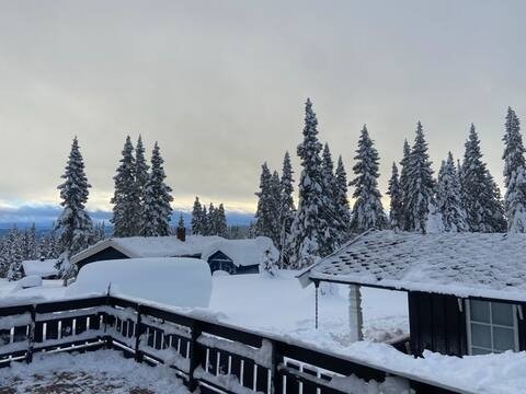Utsikten fra terrassen på vinterstid. Selgers eget bilde. Galleribilde