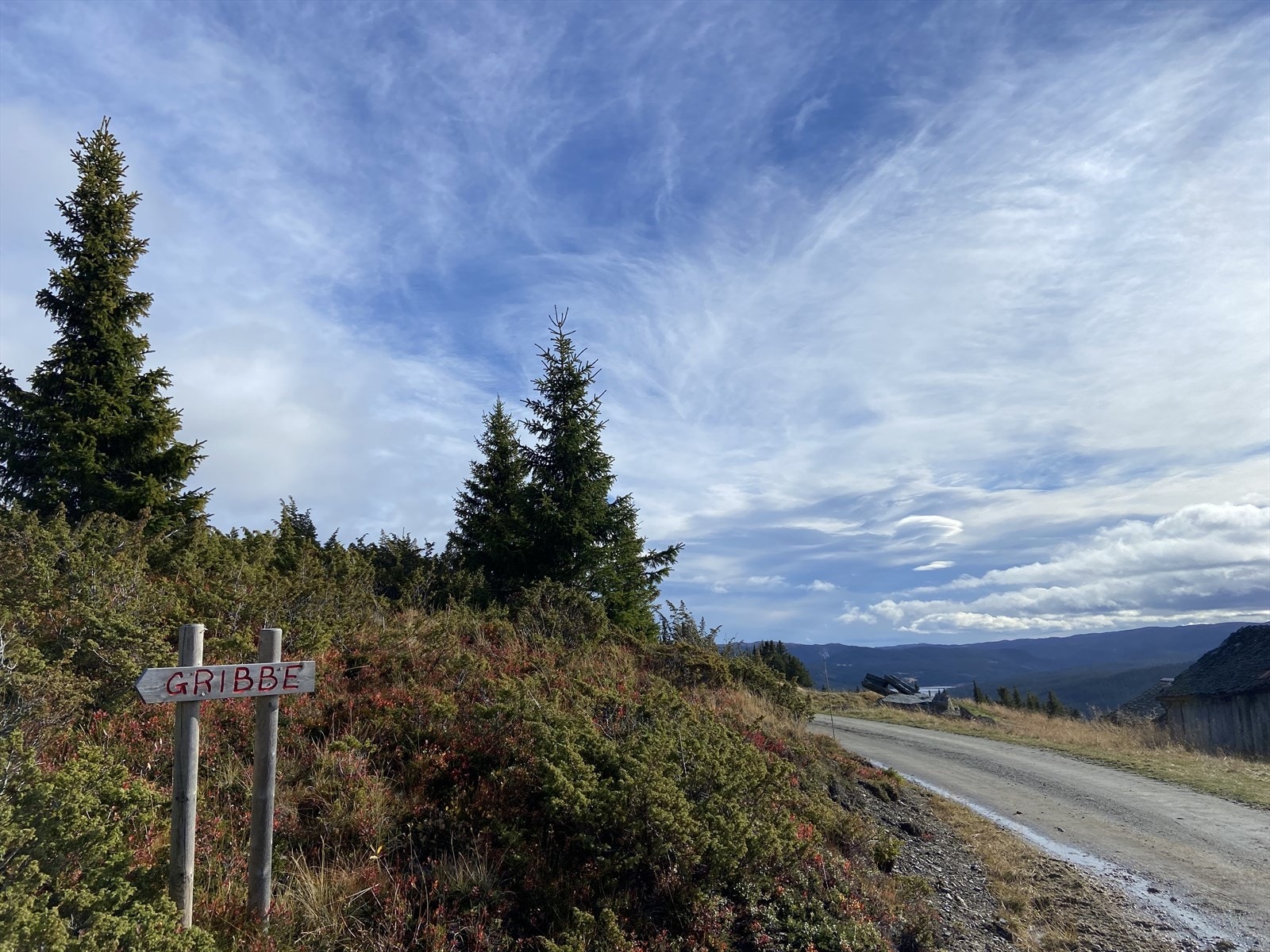 Det er mange fine turmuligheter som passer alle nivåer rett utenfor døren, blant annet er Gribbe et populært turmål, hvor du kan starte turen direkte fra hytta! Galleribilde