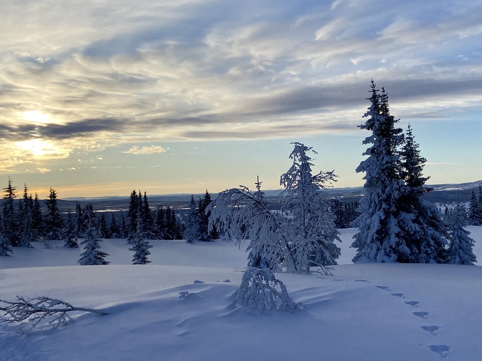 Tisleidalen byr på fantastiske opplevelser for store og små, sommer som vinter! Selgers eget bilde. Galleribilde