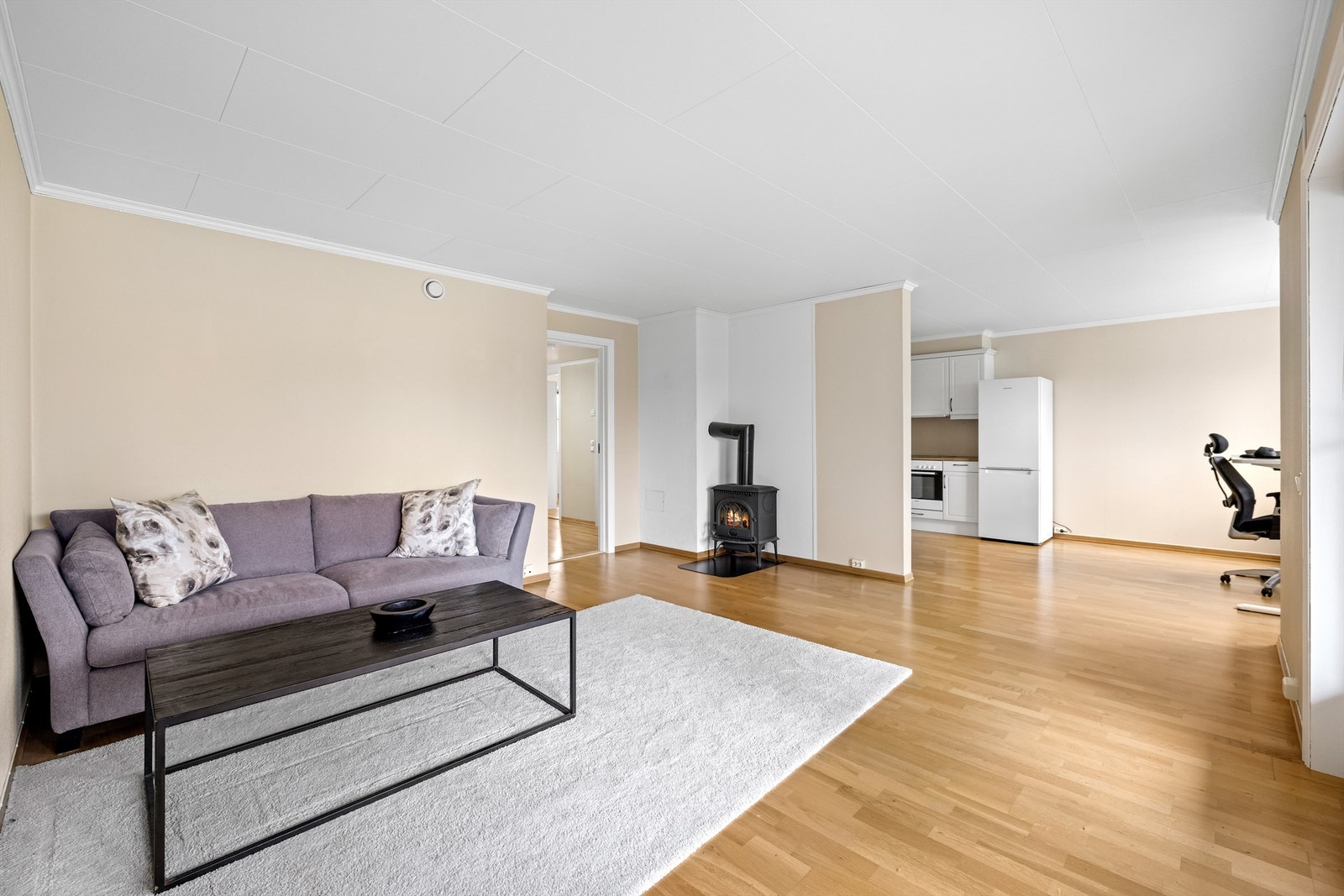 Peisovnen som oppvarmingskilde i stuen Galleribilde