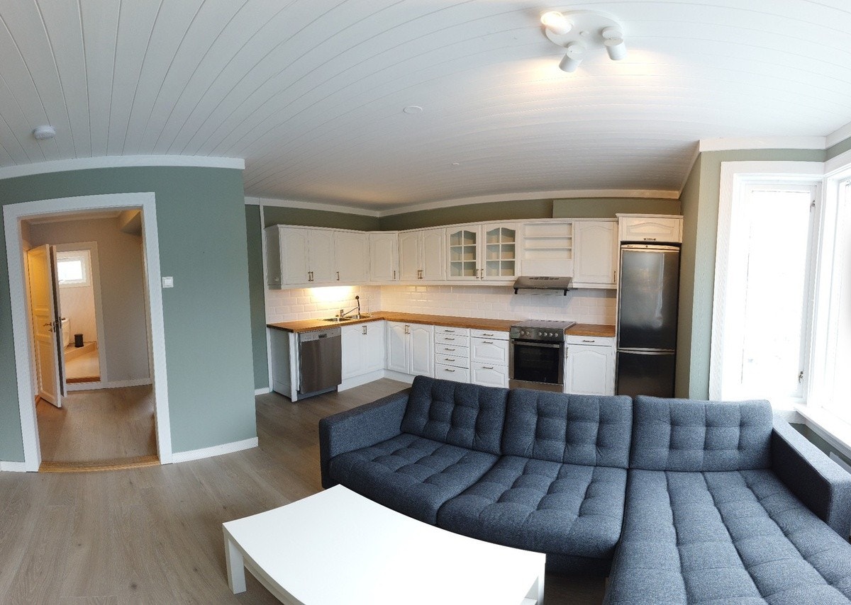 Romslig stue og kjøkken Galleribilde