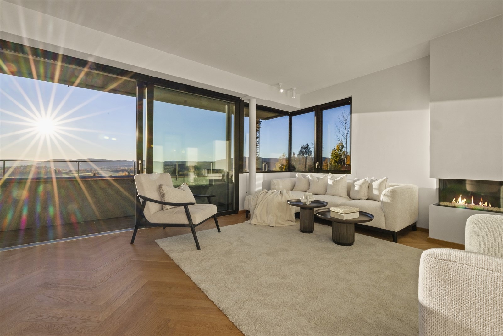 Gasspeisen i stuen gir en lun og hyggelig atmosfære. Galleribilde