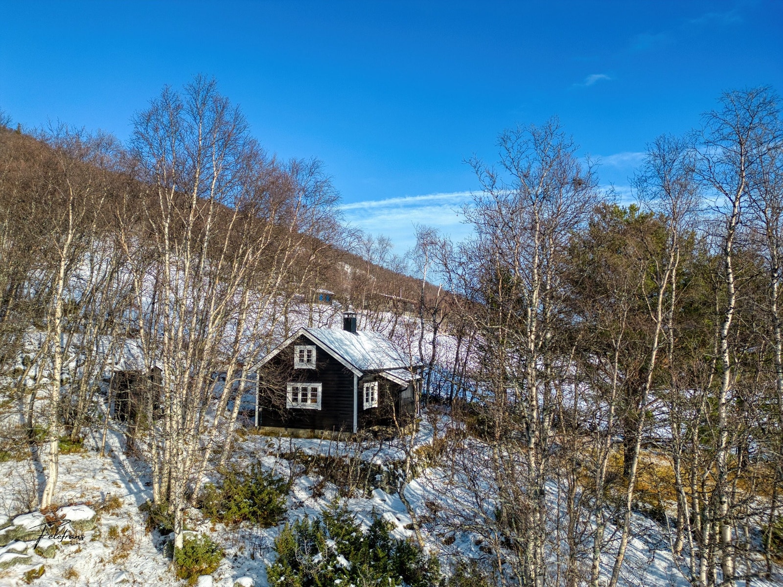 Enkel, usjenert hytte på stor, solrik tomt Galleribilde