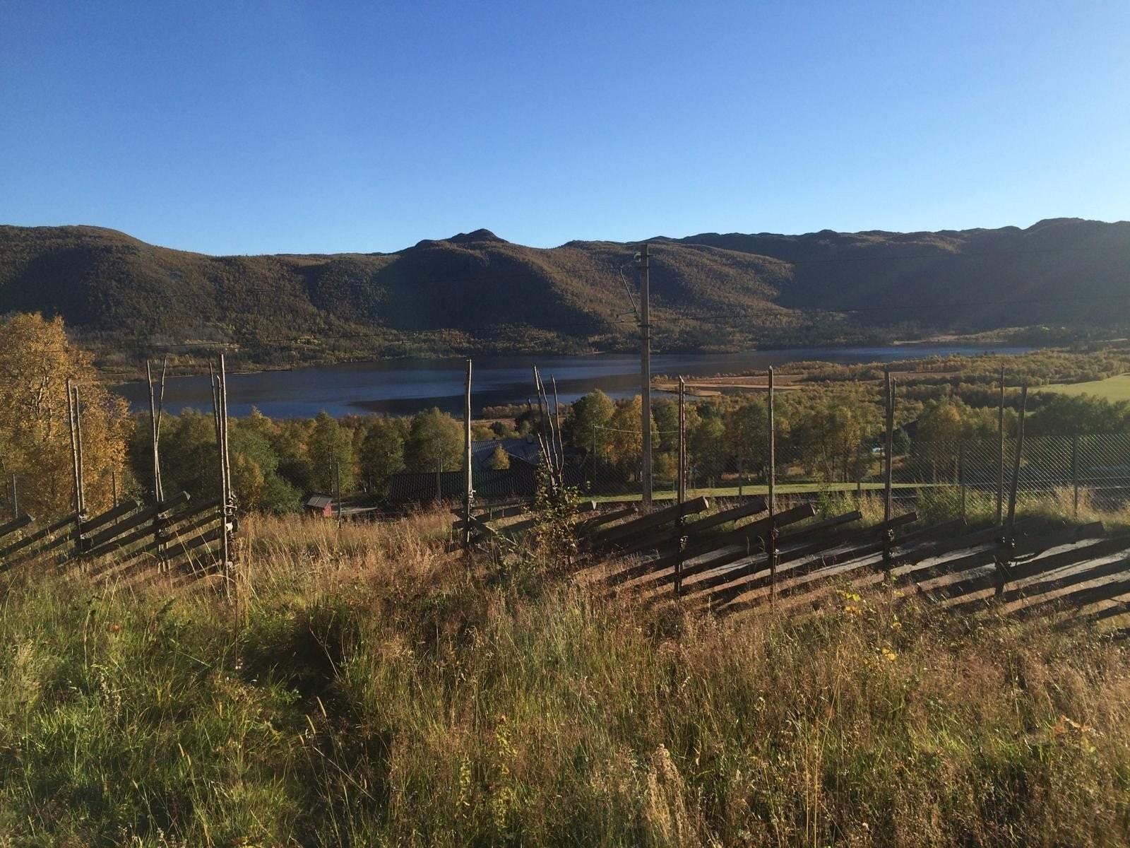 Utsikt fra hagen mot Ustedalsfjorden på sensommeren Galleribilde