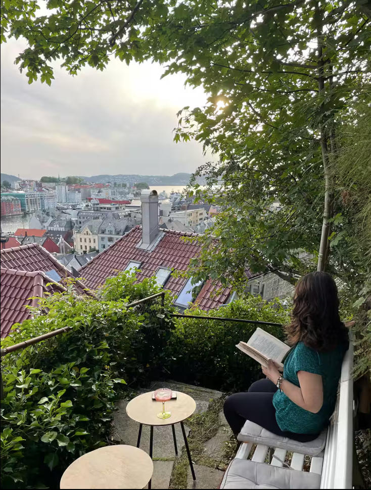 Fra hagen Galleribilde