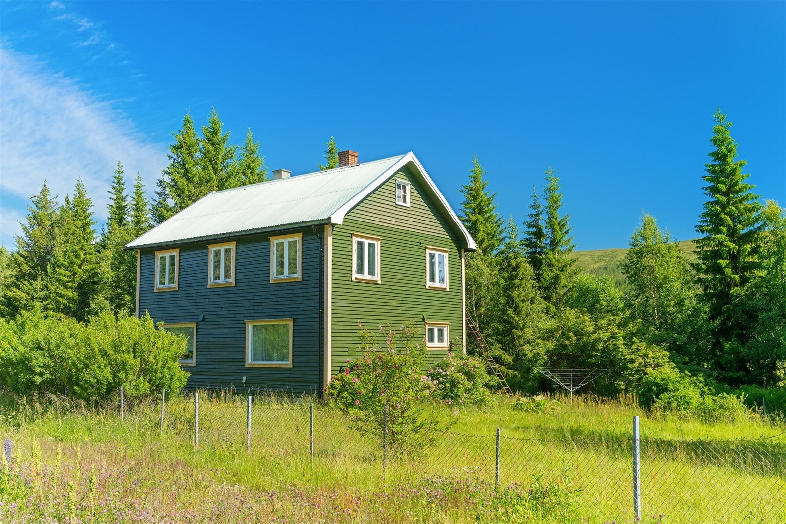 Flat tomt med mye plenareal og prydbusker. Galleribilde