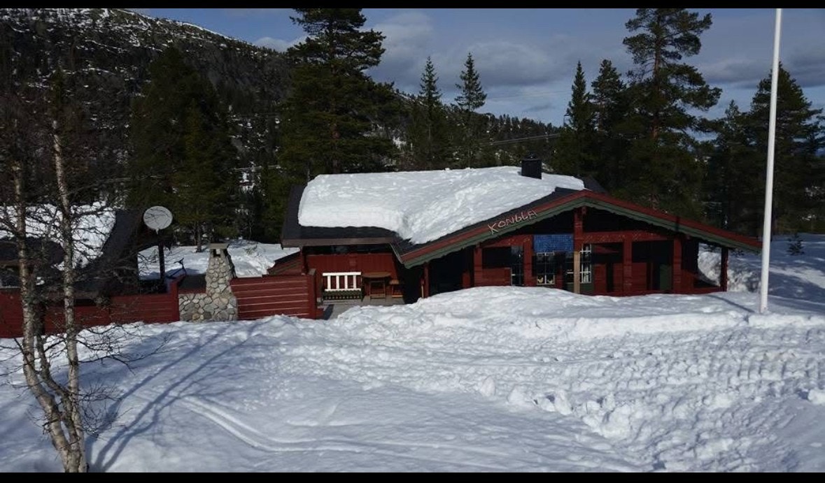 Selgers private vinterbilde Galleribilde