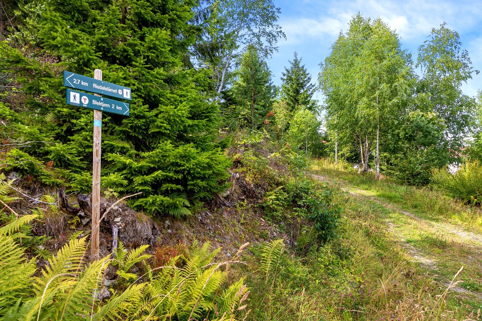 ..og i marka! Galleribilde