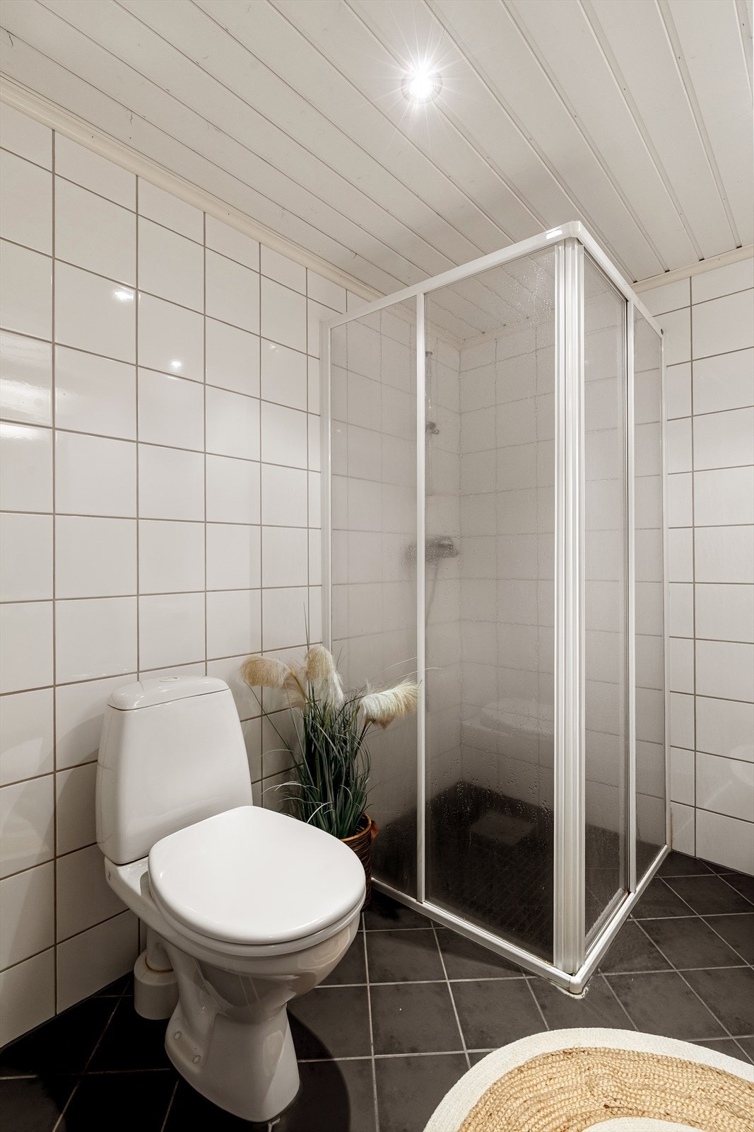 62bad.jpg Galleribilde