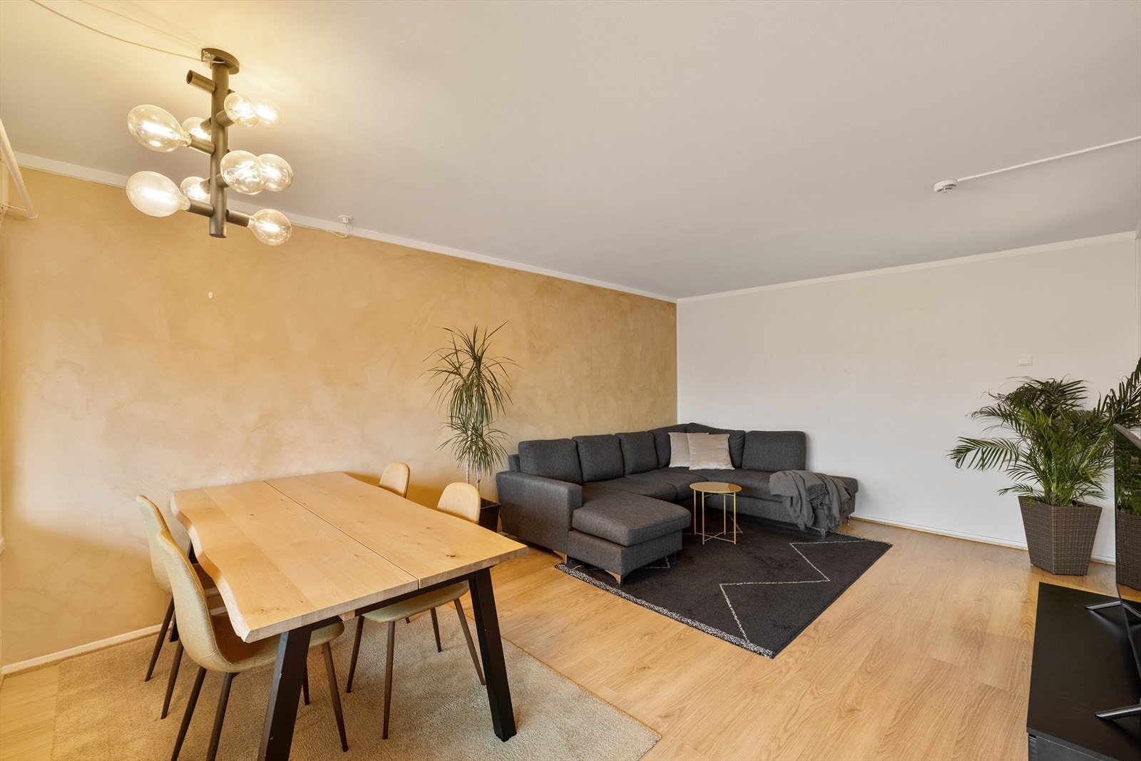 Spise- og stuedel glir sømløst sammen. Galleribilde