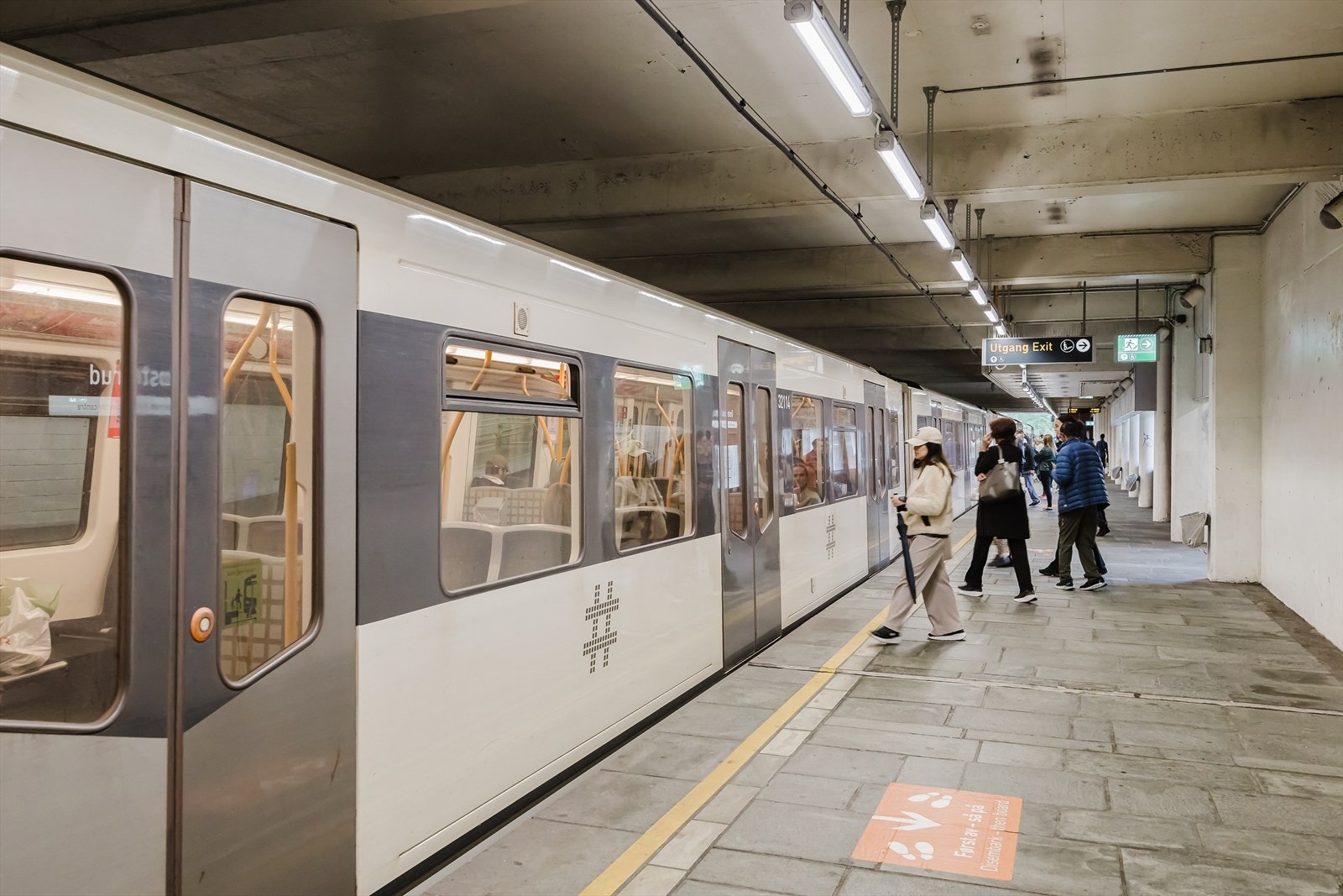 Kiwi og Mix i nærheten Galleribilde