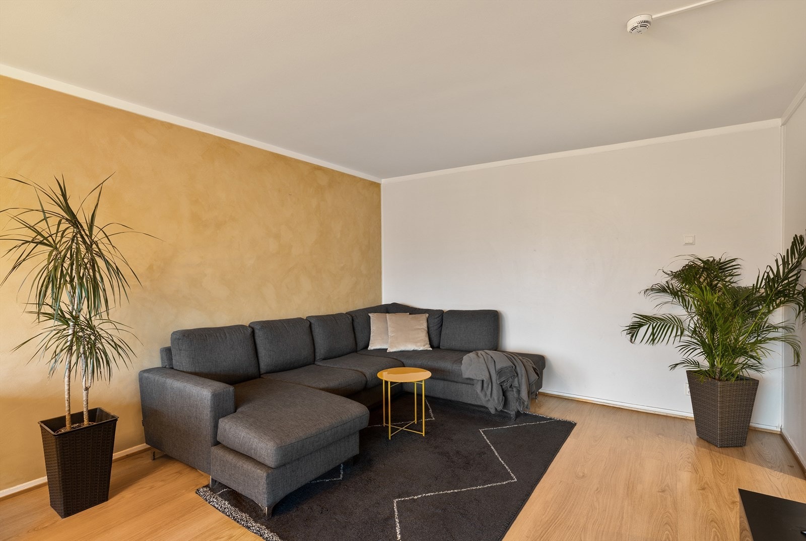 Et innbydende oppholdsrom med lune fargetoner. Galleribilde