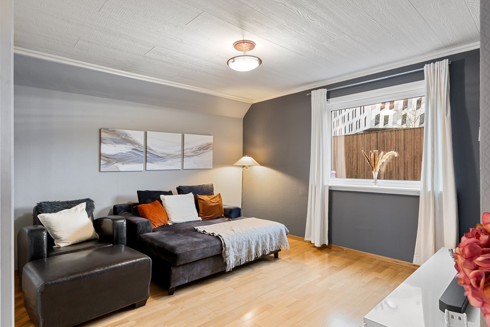 Tv-stue Galleribilde