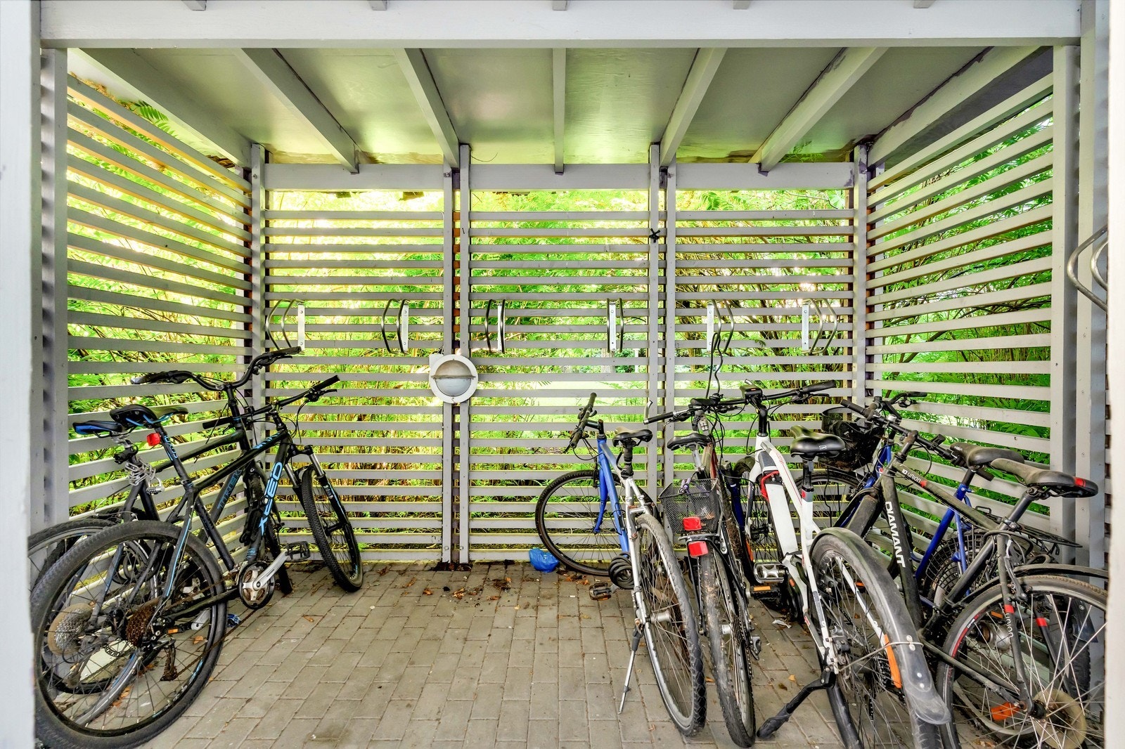 Felles sykkelbod Galleribilde