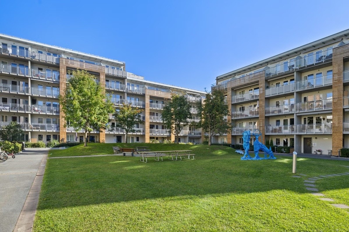 Bakgård Galleribilde