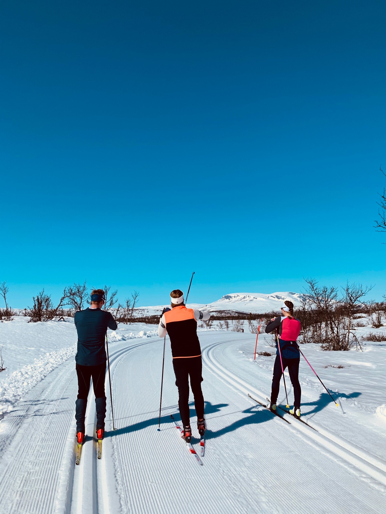 Skiløyper Galleribilde