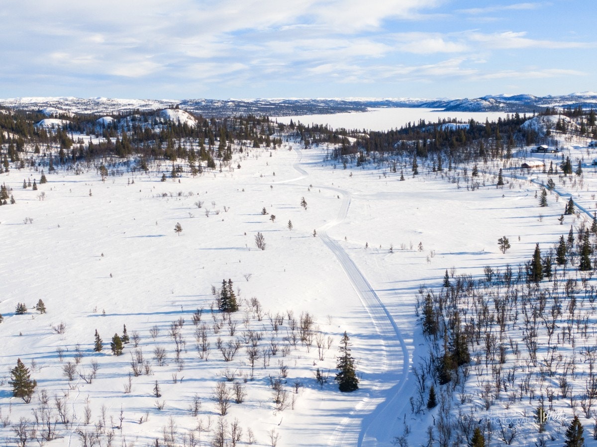 Vinter og skiløyper Galleribilde