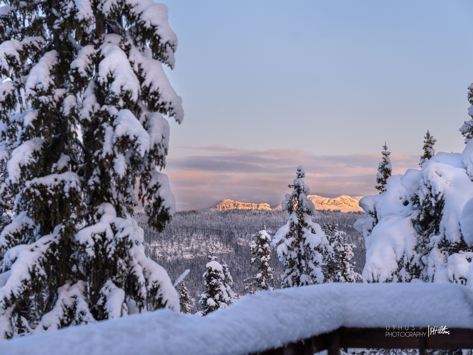 Sjekk denne utsikten. Galleribilde