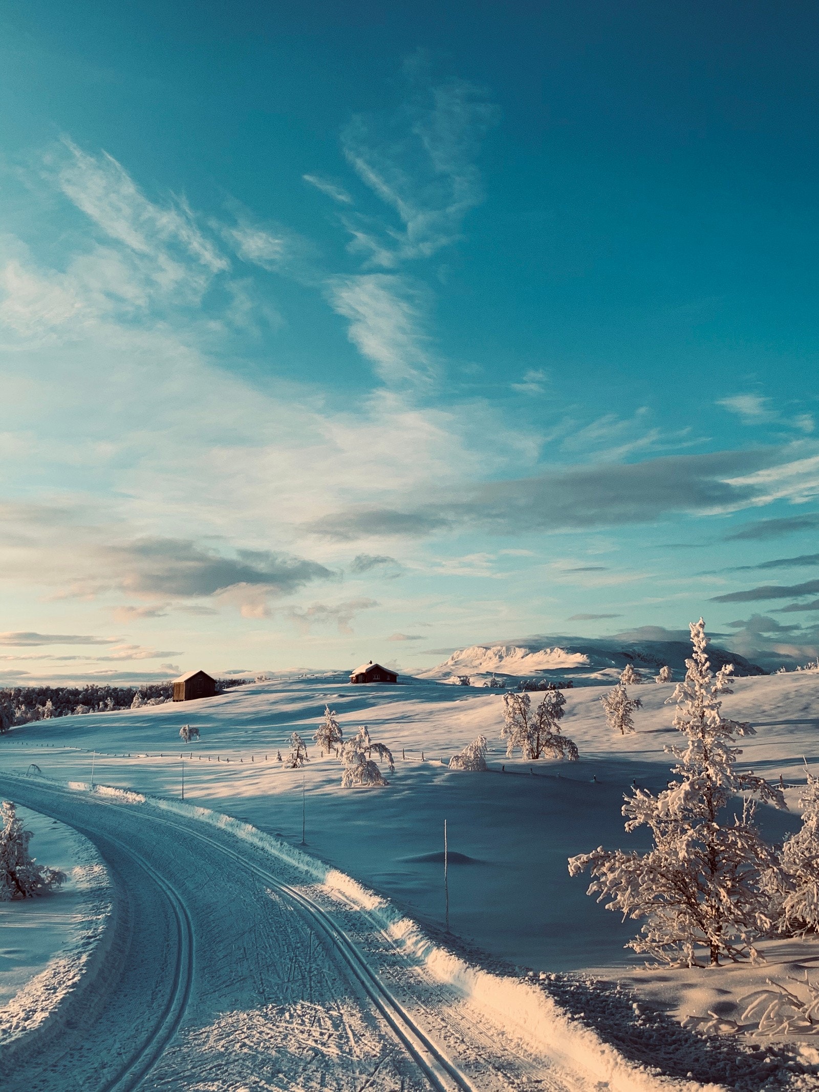 Skiløyper. Galleribilde