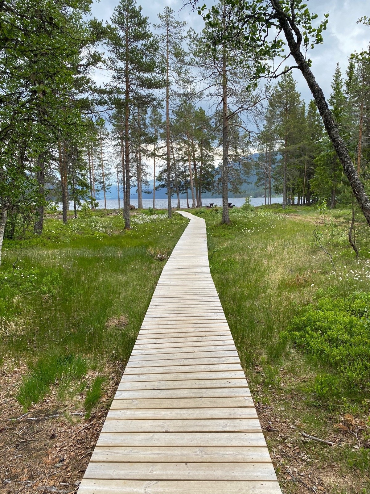 Pent opparbeidet sti ned til stranden Fagersand Galleribilde