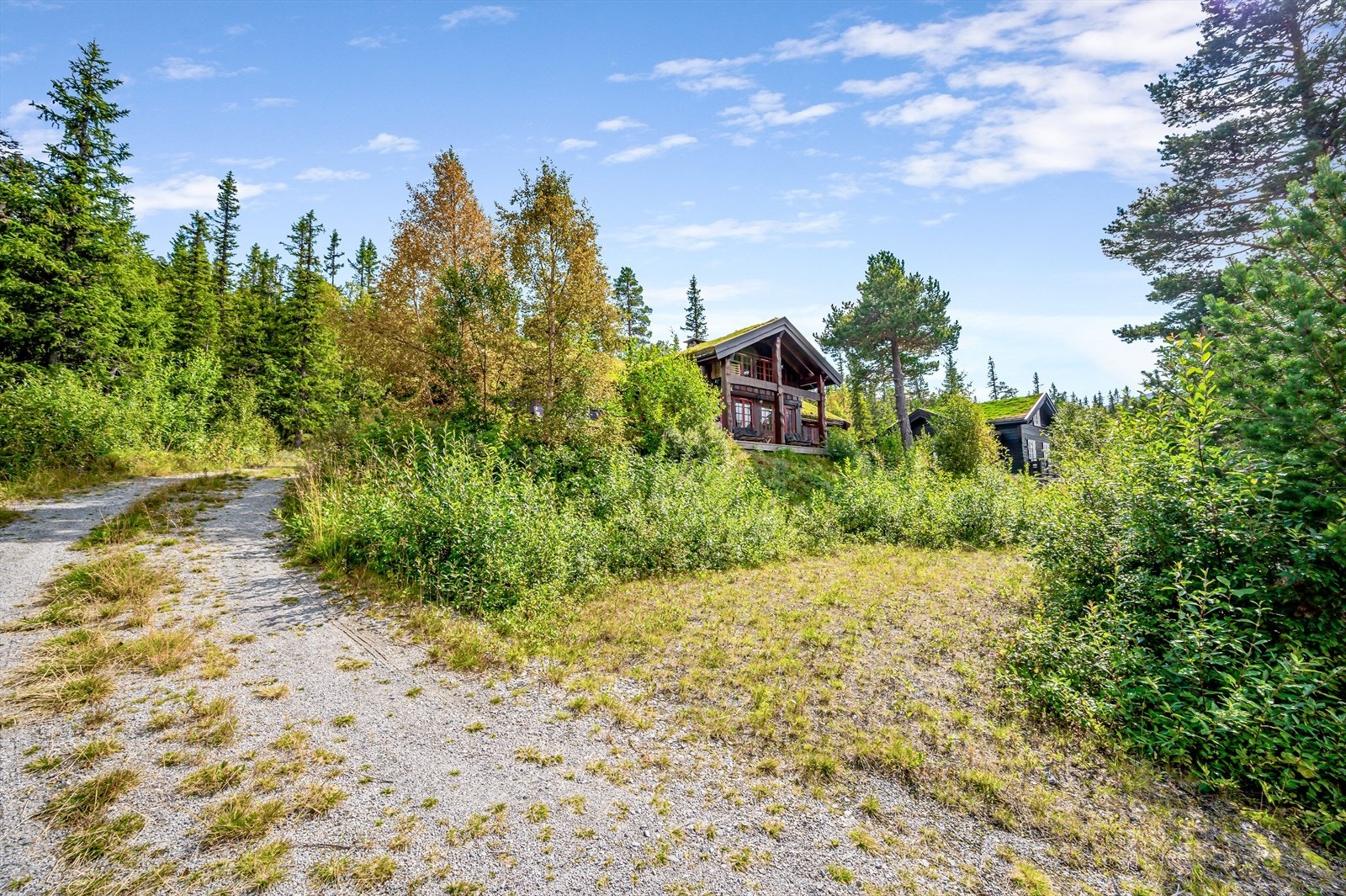 Gode parkeringsmuligheter både i forkant av hytta og i bakkant Galleribilde