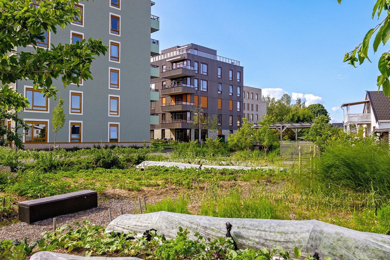 Hyggelige arealer med beplanting og sittebenker Galleribilde