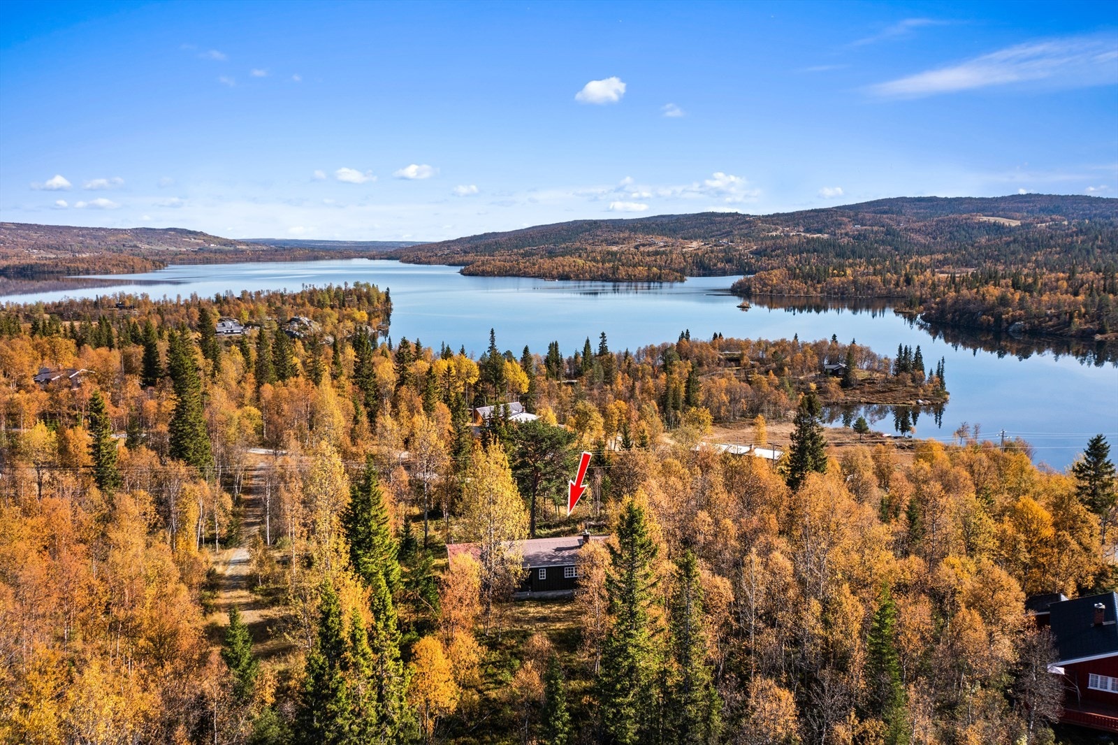 Nydelig beliggenhet omringet av skog i vakre høstfarger. Perfekt beliggenhet for den aktive familien. Galleribilde