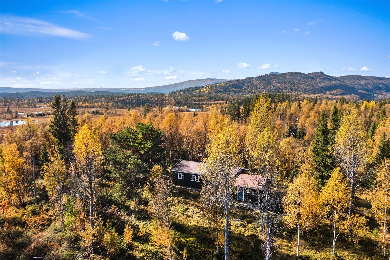 Hytta har en rolig og usjenert beliggenhet i naturskjønne omgivelser i Heimskard. Galleribilde
