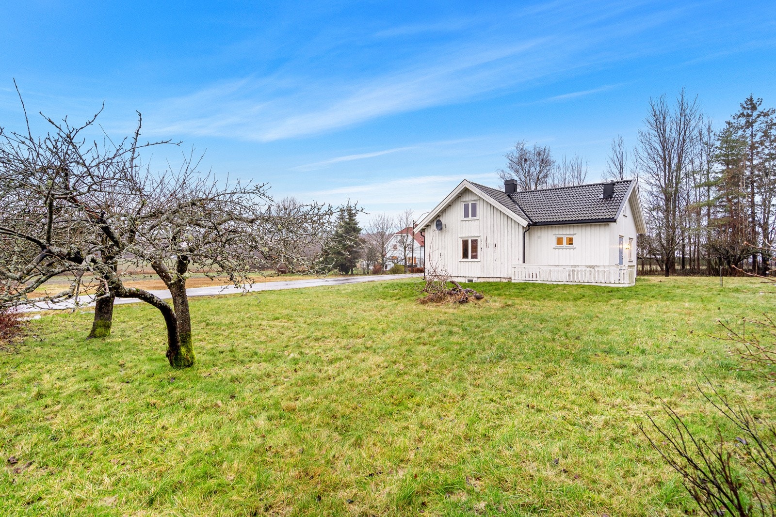 Stor hagetomt (ca 4 mål) med mengder av muligheter Galleribilde
